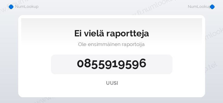 Numerotiedot numerolle 0855919596