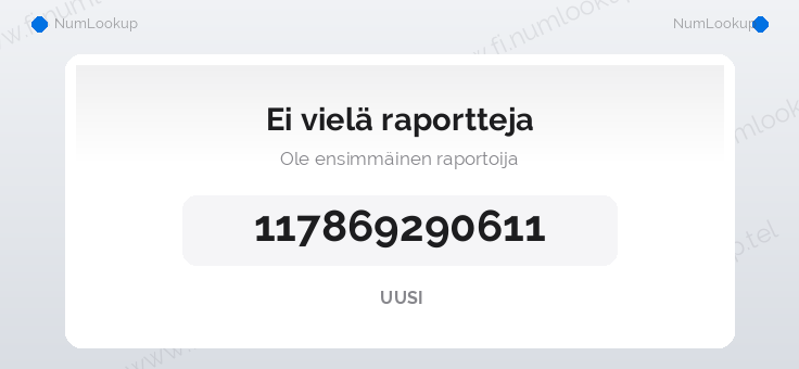 Numerotiedot numerolle 117869290611